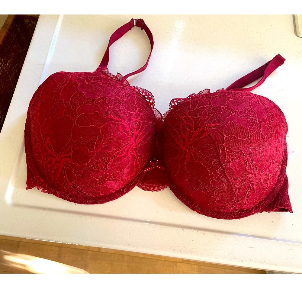 Auden red the sublime romance lace push up bra